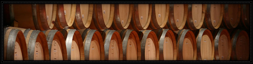 vineyard 29 winery with view